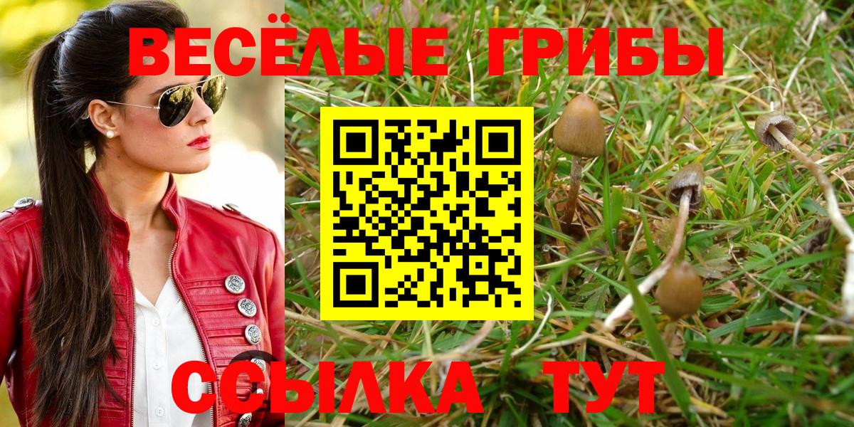 Оренбург  Галлюциногенные грибы MAGIC MUSHROOMS  Вход с VPN  Псилоцибиновые грибы Psilocybine cubensis 